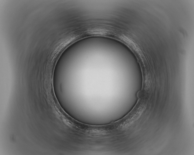 X0000115600529200911101408