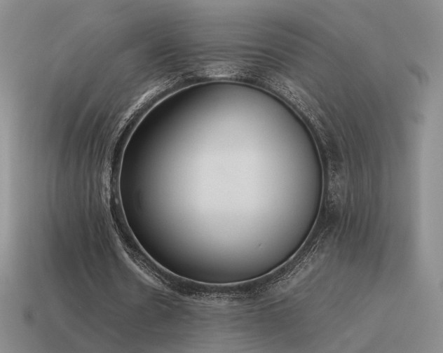 X0000115600530200911101408