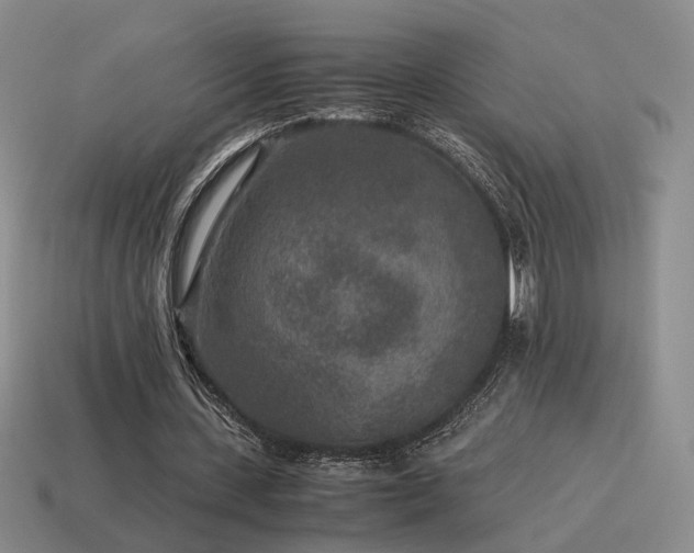 X0000115600531200911101408