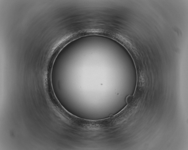 X0000115600535200911101408