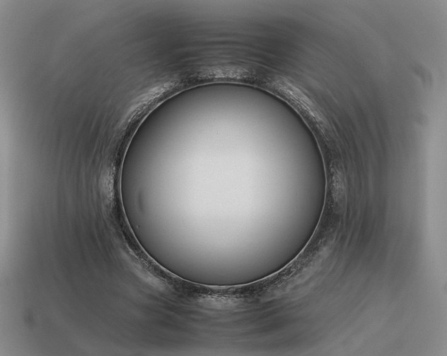 X0000115600537200911101408