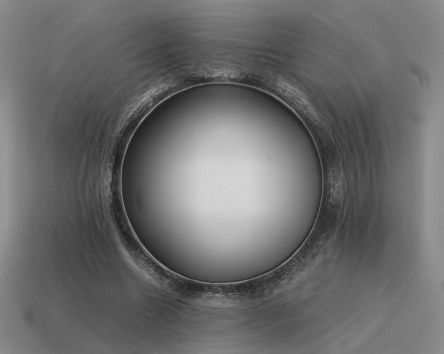 X0000115600538200911101408