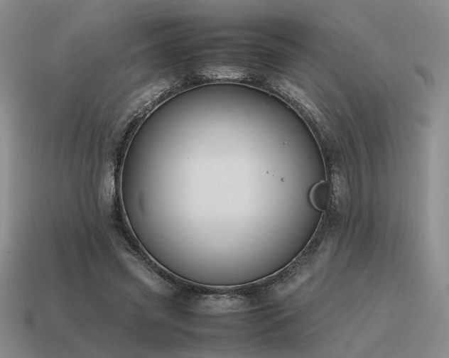 X0000115600541200911101408