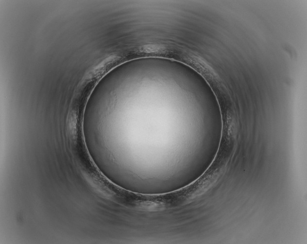 X0000115600542200911101408