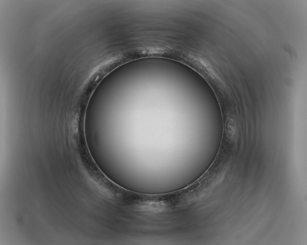 X0000115600543200911101408