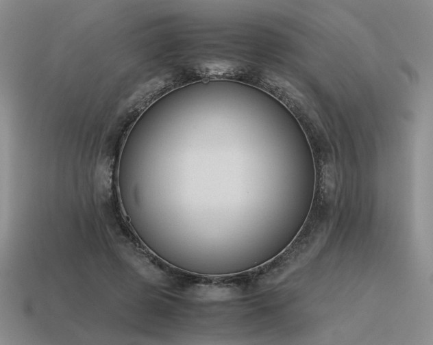 X0000115600545200911101408