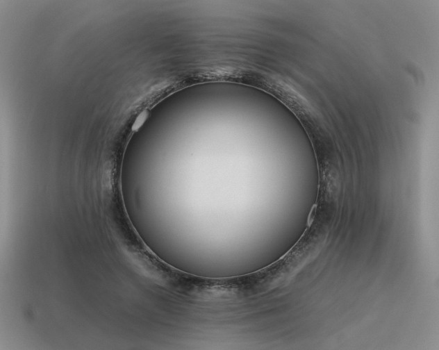 X0000115600546200911101408