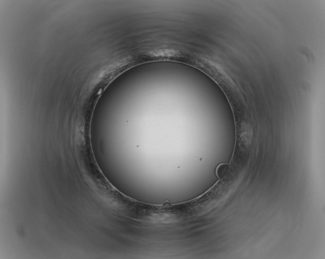 X0000115600547200911101408