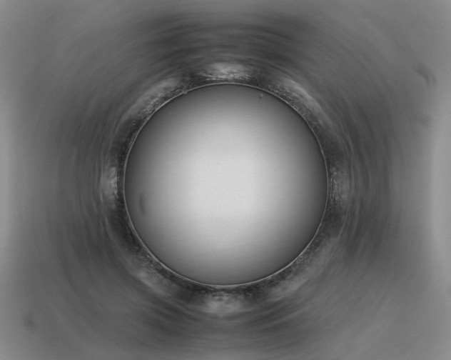 X0000115600549200911101408