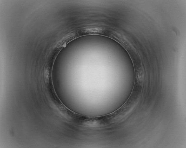 X0000115600551200911101408