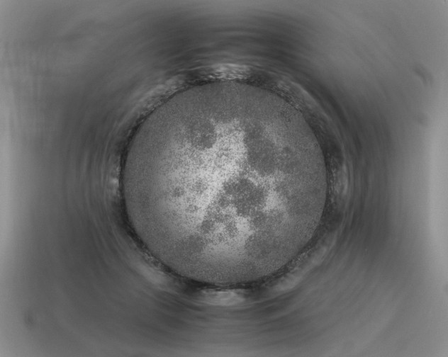 X0000115600553200911101408