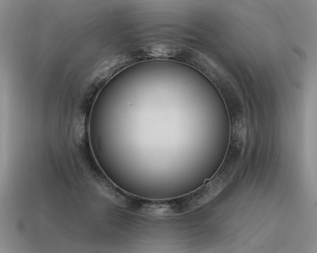 X0000115600554200911101408