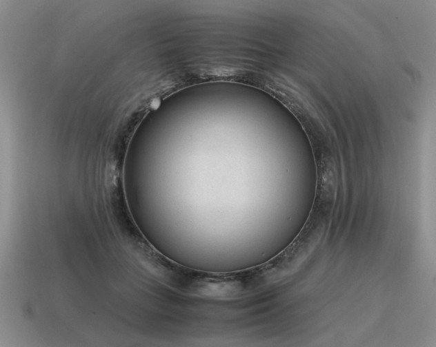 X0000115600555200911101408