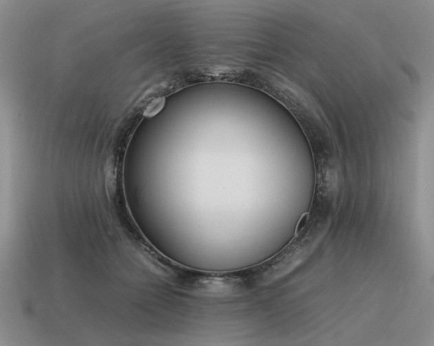 X0000115600558200911101408