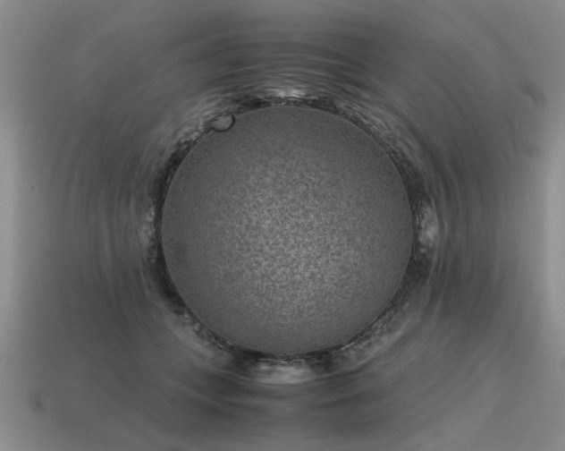 X0000115600559200911101408