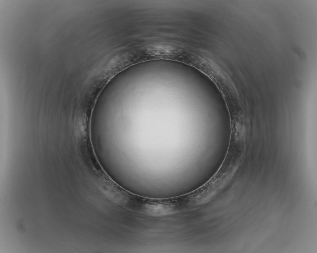 X0000115600561200911101408