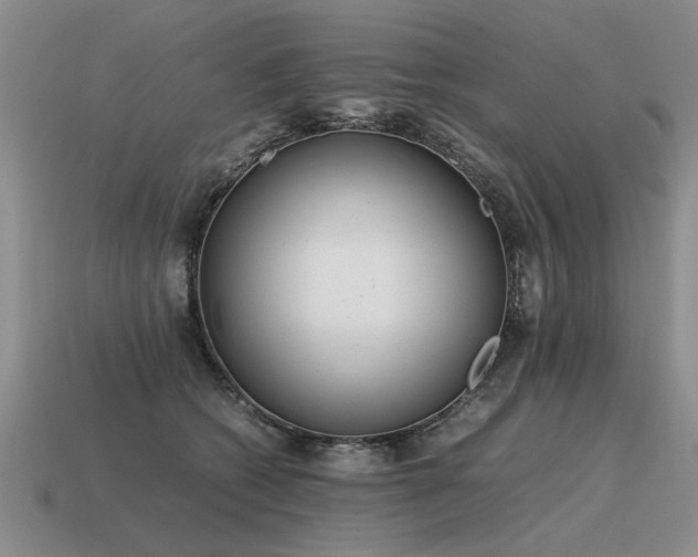 X0000115600562200911101408