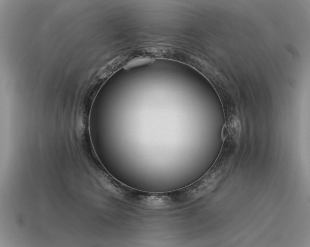 X0000115600566200911101408