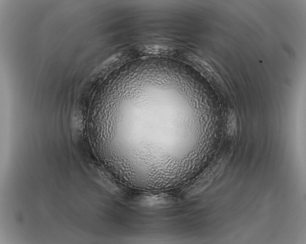 X0000115600569200911101408