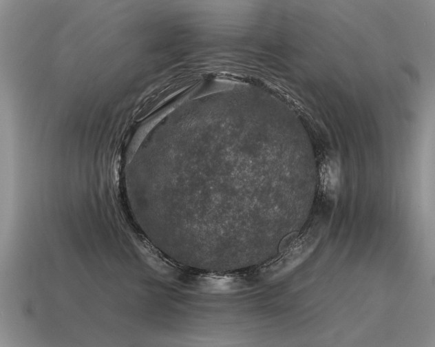 X0000115600570200911101408