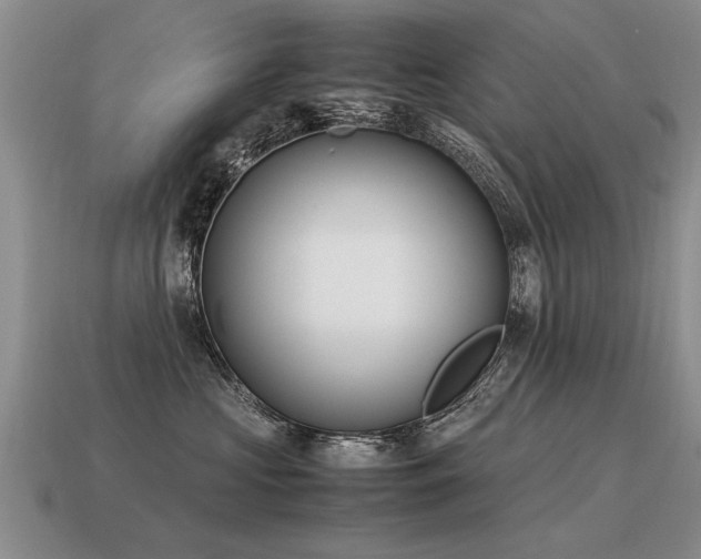 X0000115600573200911101408