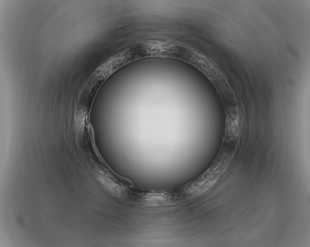 X0000115600574200911101408