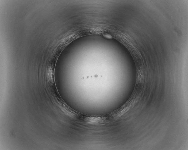 X0000115600575200911101408