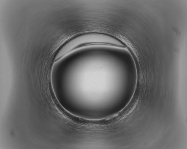 X0000115600577200911101408