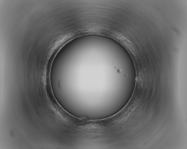 X0000115600578200911101408