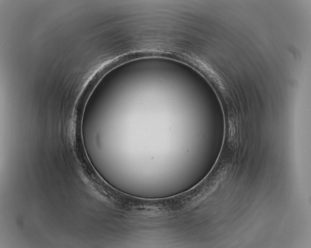 X0000115600580200911101408