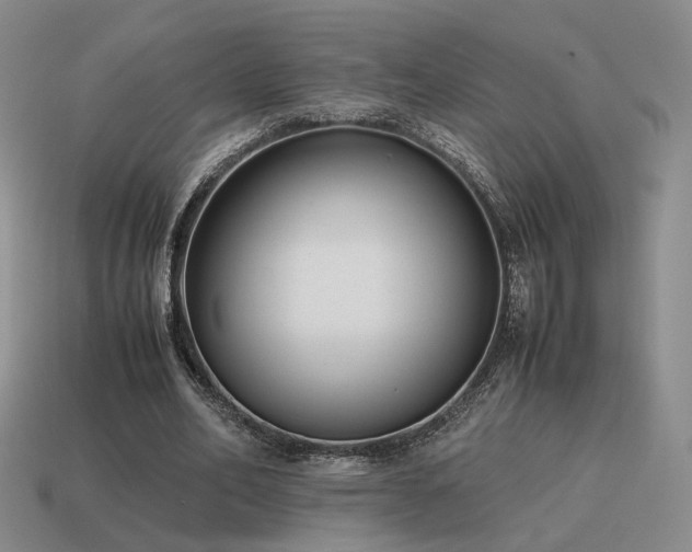 X0000115600582200911101408