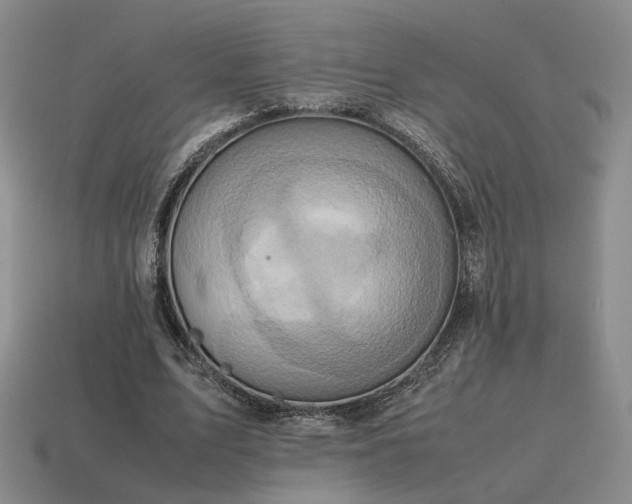 X0000115600583200911101408