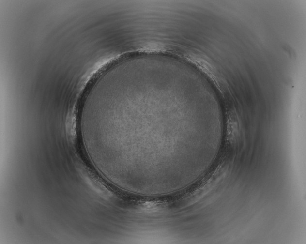 X0000115600584200911101408