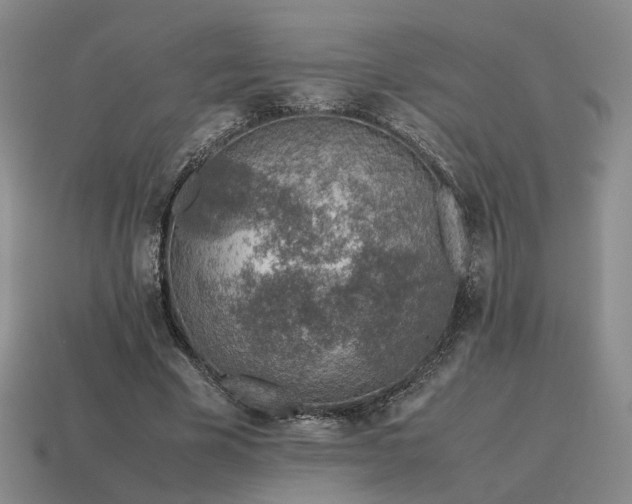 X0000115600585200911101407