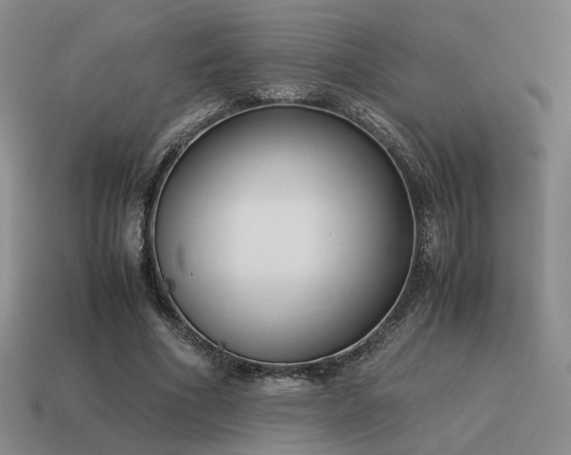 X0000115600586200911101407