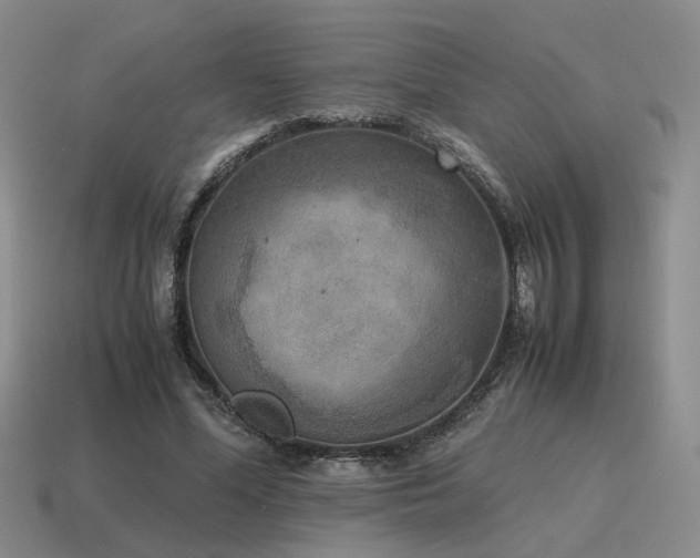 X0000115600588200911101407