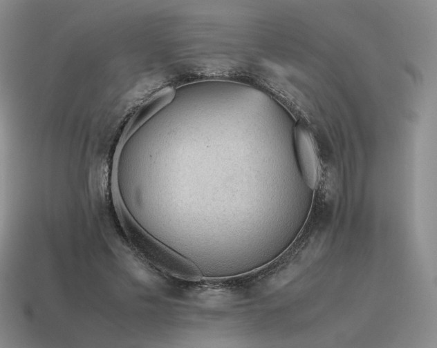 X0000115600589200911101407