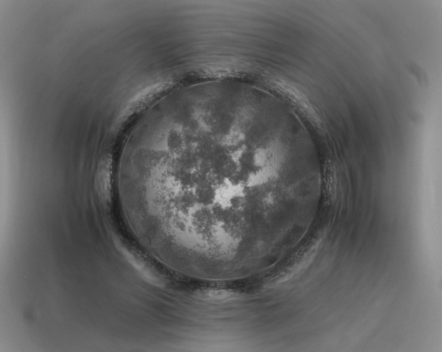 X0000115600590200911101407