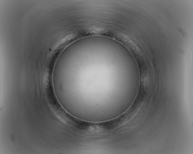 X0000115600591200911101407