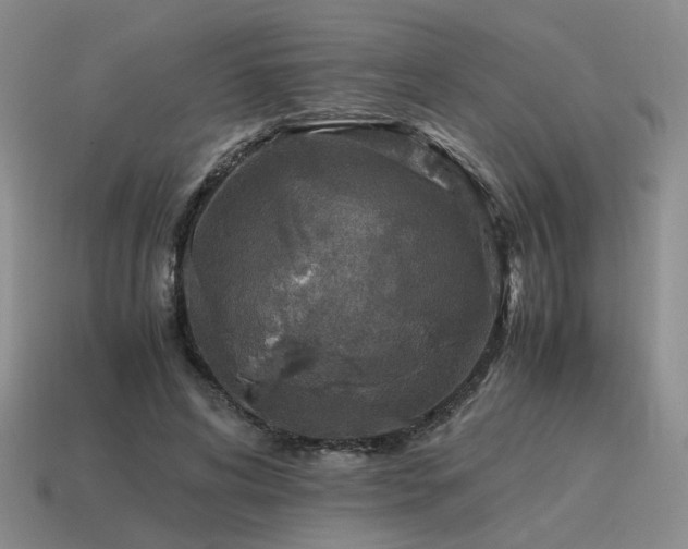 X0000115600592200911101407