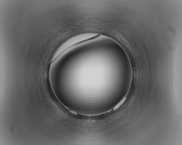 X0000115600593200911101407