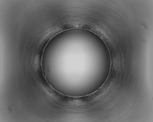 X0000115600594200911101407