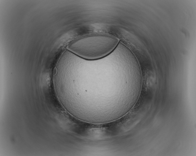 X0000115600595200911101407