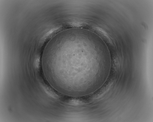 X0000115600596200911101407