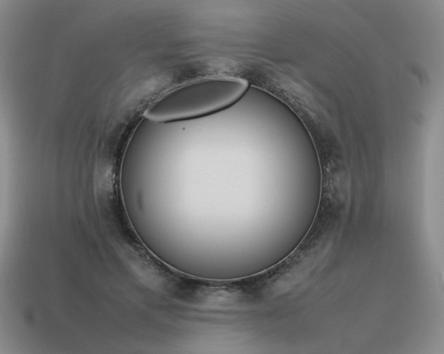 X0000115600597200911101407