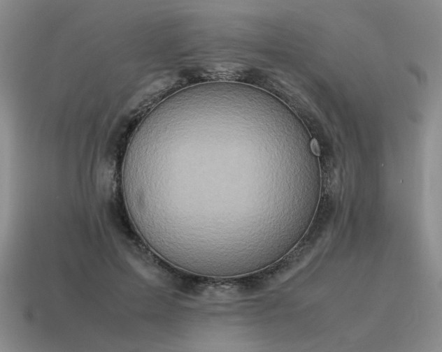 X0000115600599200911101407