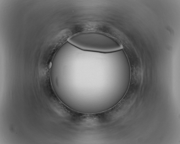 X0000115600601200911101407