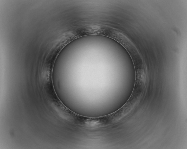 X0000115600602200911101407