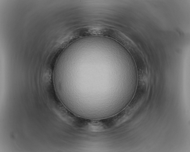 X0000115600603200911101407