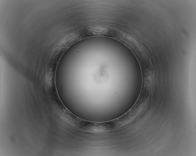 X0000115600604200911101407